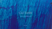 Ciel Tombé (with The Astrologer by Sylvie Germain )