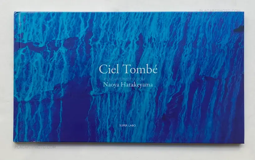 Ciel Tombé (with The Astrologer by Sylvie Germain )