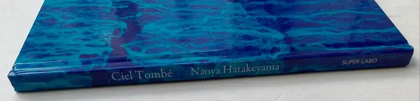 Ciel Tombé (with The Astrologer by Sylvie Germain )