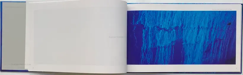 Ciel Tombé (with The Astrologer by Sylvie Germain )