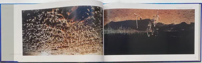 Ciel Tombé (with The Astrologer by Sylvie Germain )