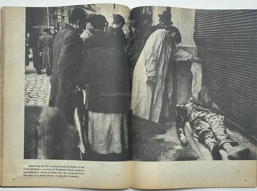 HUNGARY'S FIGHT FOR FREEDOM