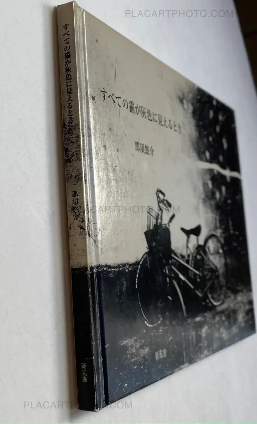 All Cats Are Gray In The Dark (with print)