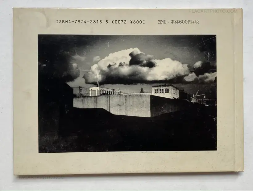 All Cats Are Gray In The Dark (with print)