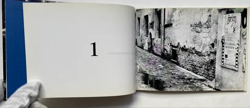 All Cats Are Gray In The Dark (with print)