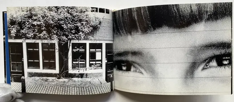 All Cats Are Gray In The Dark (with print)