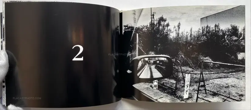 All Cats Are Gray In The Dark (with print)