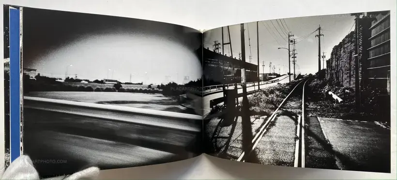 All Cats Are Gray In The Dark (with print)