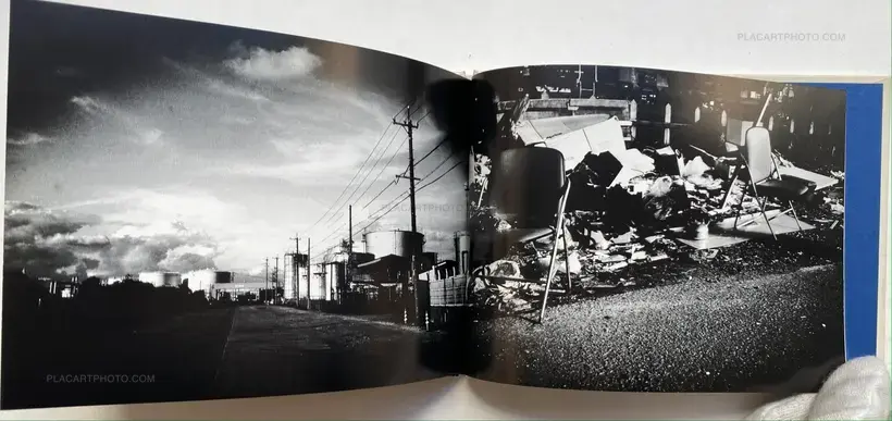 All Cats Are Gray In The Dark (with print)