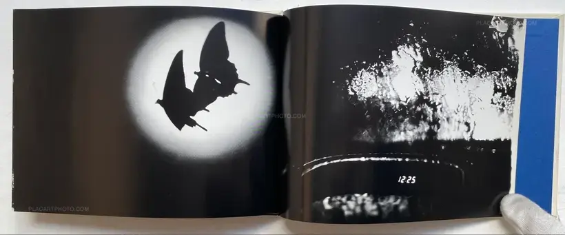 All Cats Are Gray In The Dark (with print)