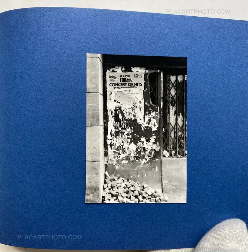 All Cats Are Gray In The Dark (with print)