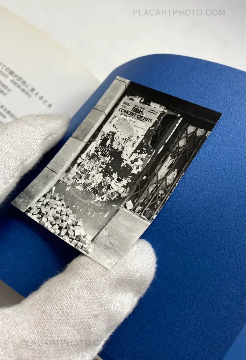 All Cats Are Gray In The Dark (with print)