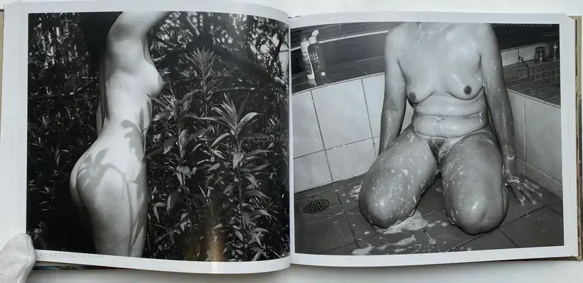 Seikimatsu no Shashin