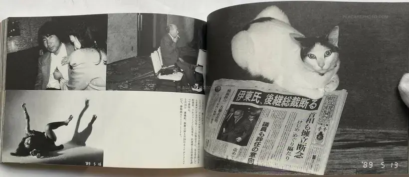 Hokeitei Nichijo (Hokeitei Diary)