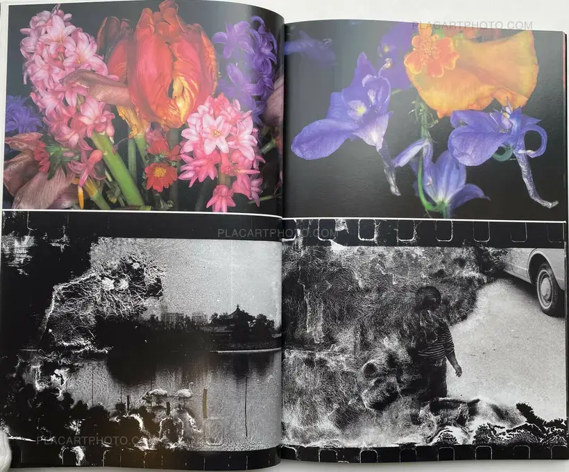 Shijyo: Tokyo Marketplace of Emotions