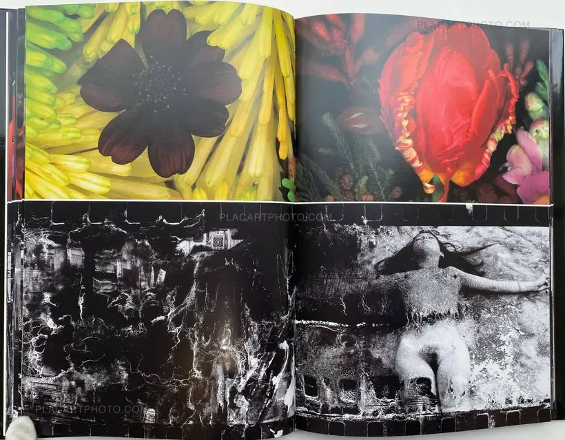 Shijyo: Tokyo Marketplace of Emotions