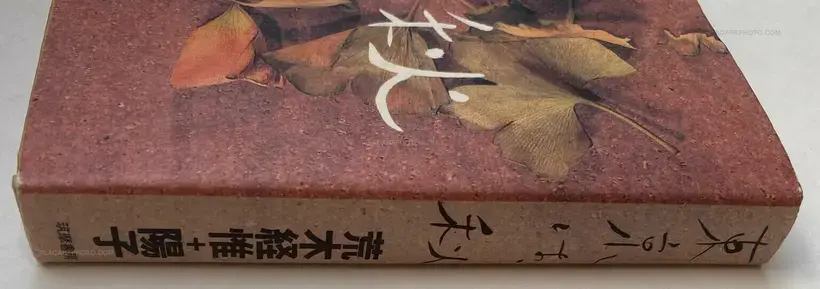 Tokyo wa, Aki (Tokyo is, Autumn)