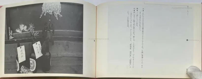 Tokyo wa, Aki (Tokyo is, Autumn)