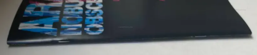 Waisetsu Shashin (Obscenities)