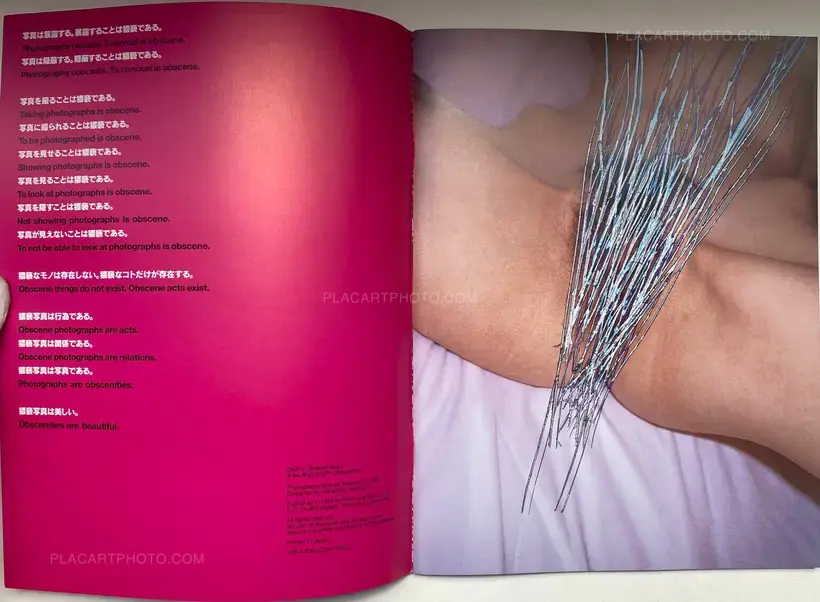 Waisetsu Shashin (Obscenities)