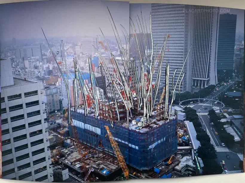 Waisetsu Shashin (Obscenities)