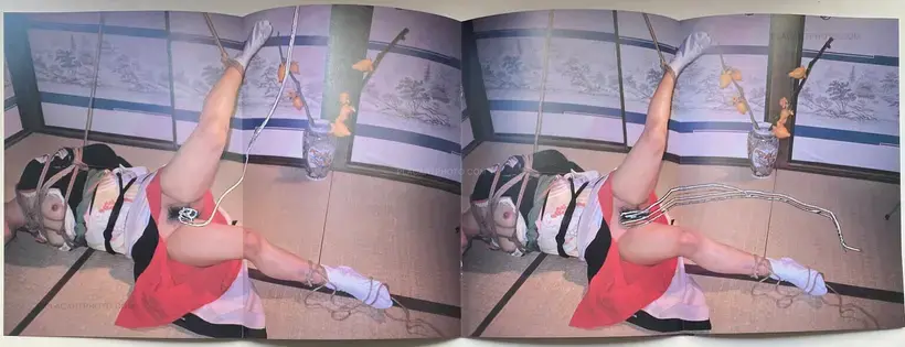 Waisetsu Shashin (Obscenities)