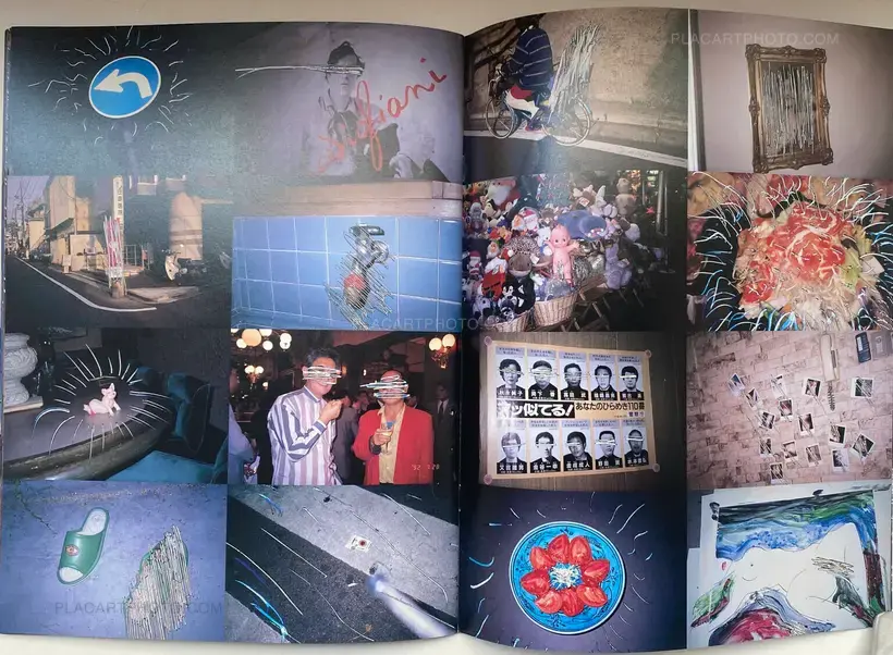 Waisetsu Shashin (Obscenities)