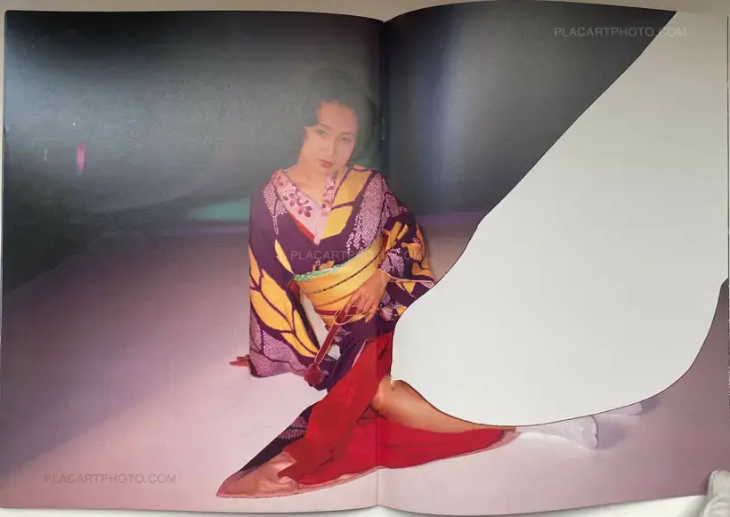 Waisetsu Shashin (Obscenities)