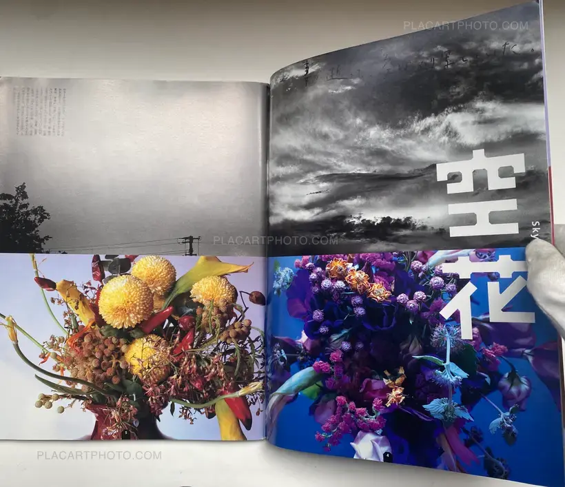 ARAKI Nobuyoshi: Sentimental Photography, Sentimental Life