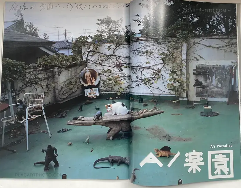 ARAKI Nobuyoshi: Sentimental Photography, Sentimental Life