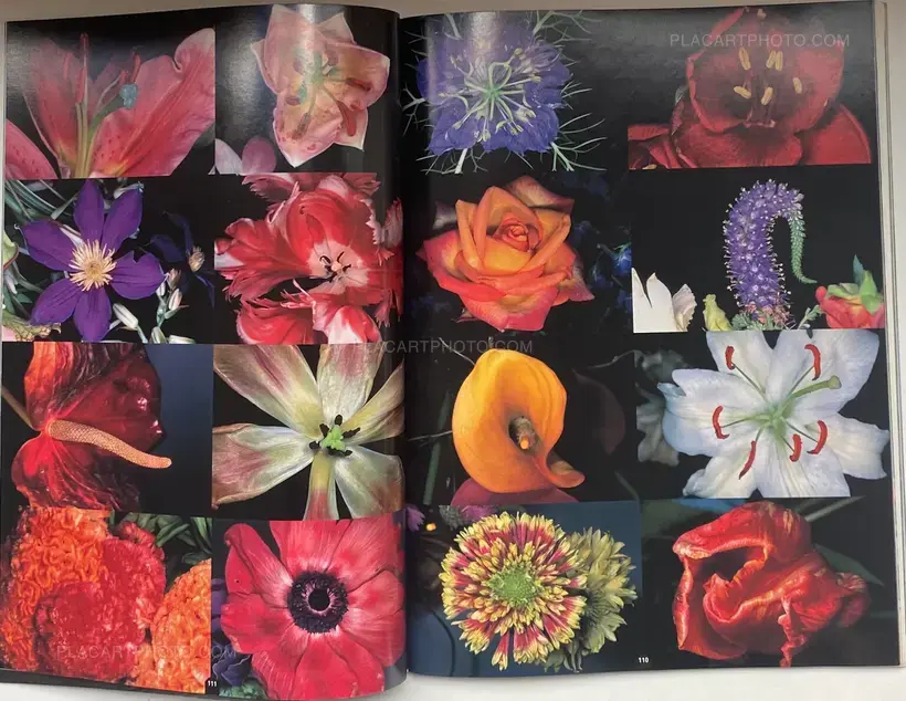 ARAKI Nobuyoshi: Sentimental Photography, Sentimental Life