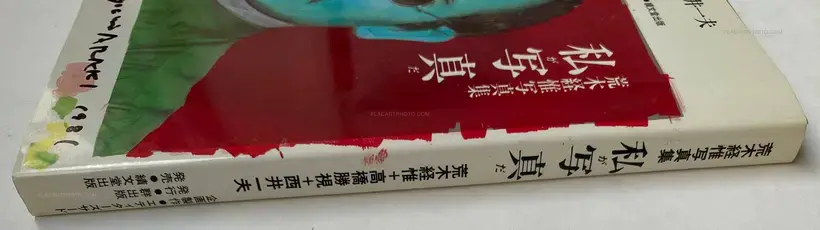 Watashi Ga Shashin Da (I am photography)