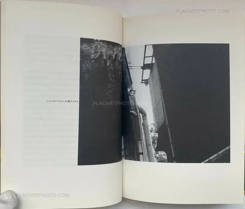 Tokyo Biyori (WITH OBI)