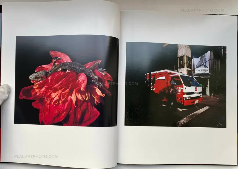 Shikikei (Colorscape) (WITH OBI)