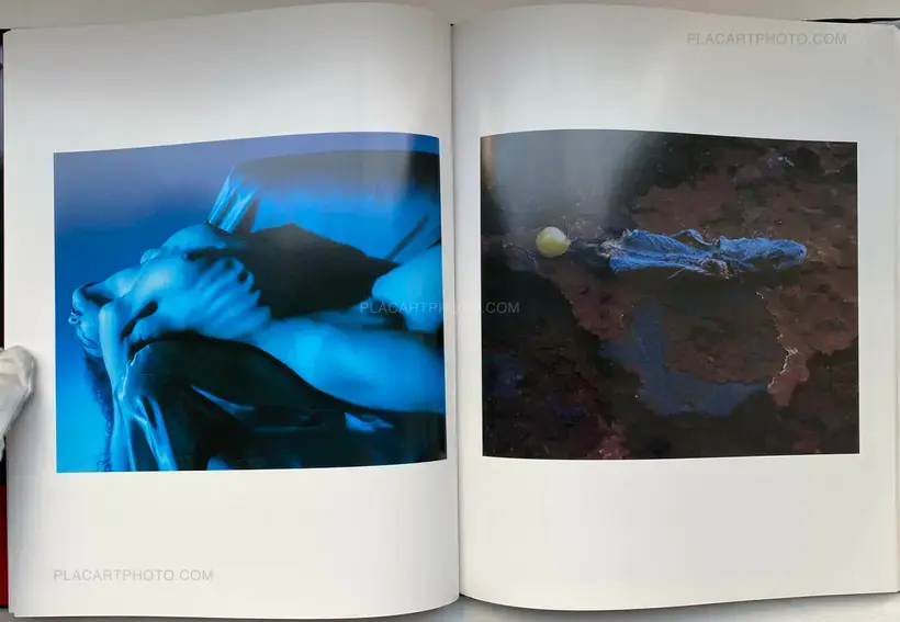 Shikikei (Colorscape) (WITH OBI)