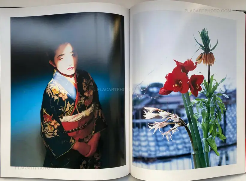 Shikikei (Colorscape) (WITH OBI)