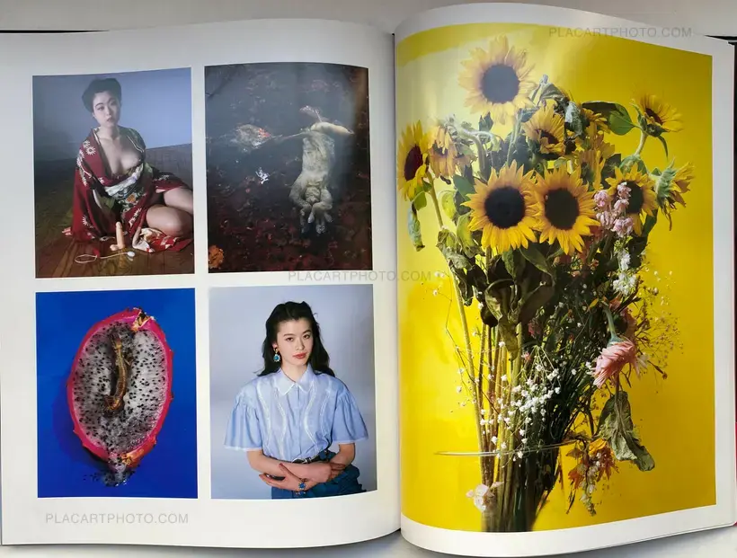 Shikikei (Colorscape) (WITH OBI)