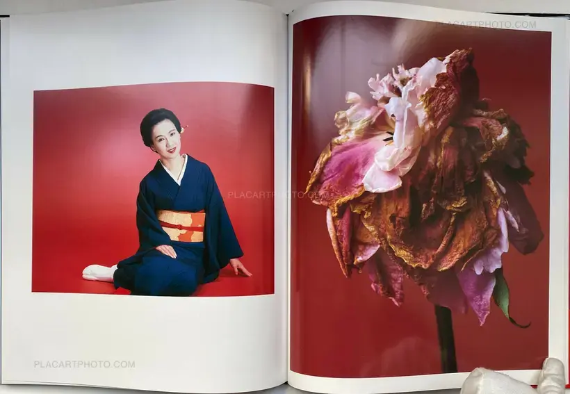 Shikikei (Colorscape) (WITH OBI)