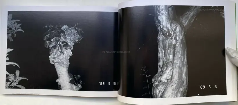 Heisei Gannen (The First year of Heisei) (WITH OBI)