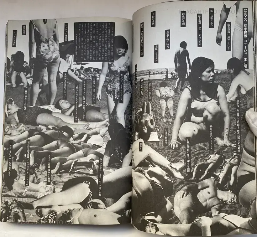 Araki Nobuyoshi no Nise Ruporutaju (Nobuyoshi Araki's Pseudo-Reportage)