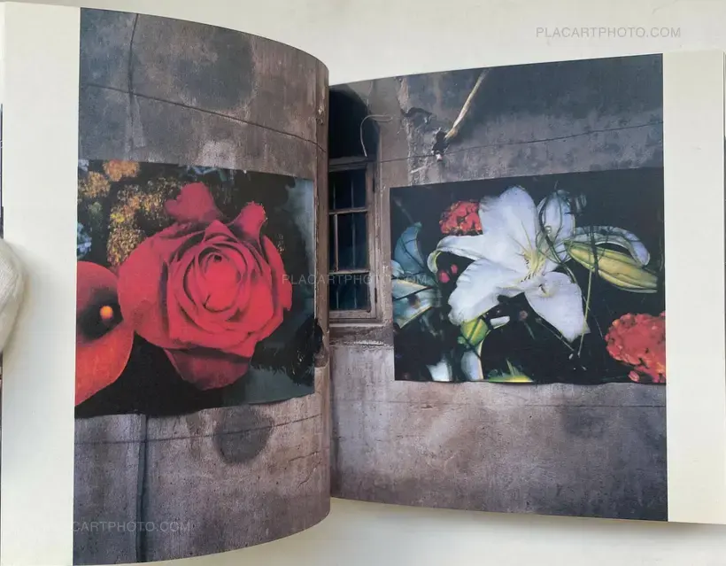 Shanhai-Gaeri no Araki (Anarchy Coming Back from Shanghai)