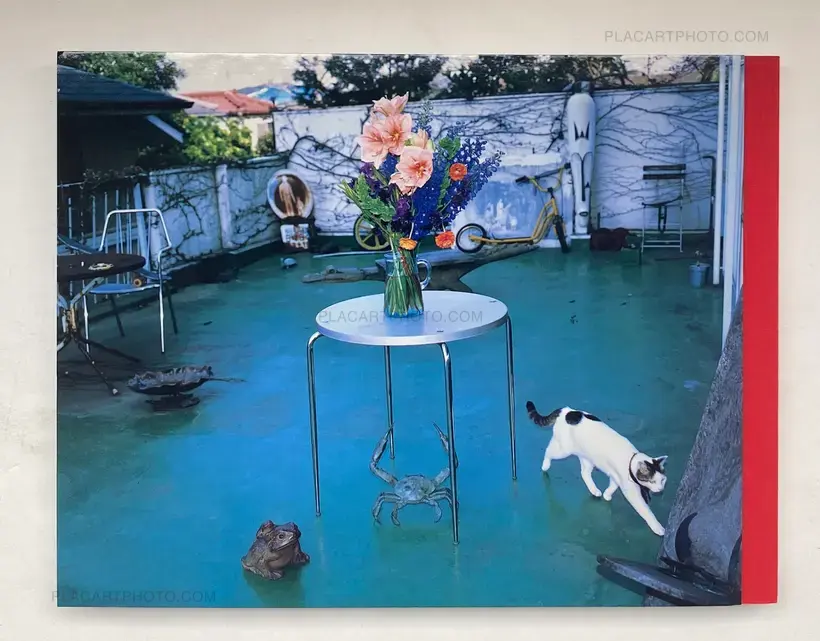 Shinseiki no Shashin (Photographs from the New Century)