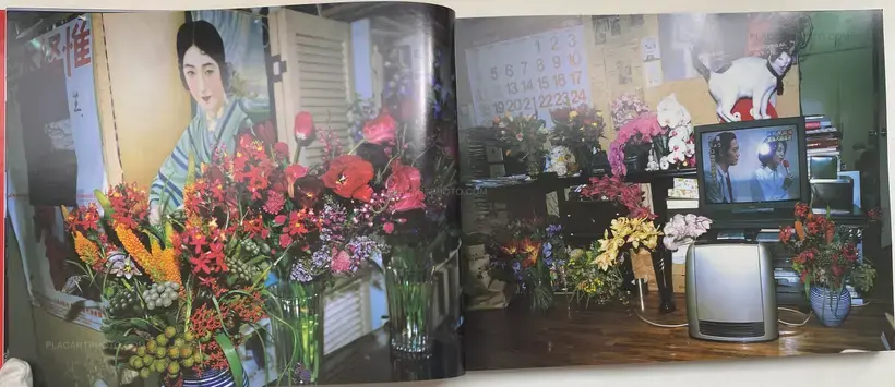 Shinseiki no Shashin (Photographs from the New Century)