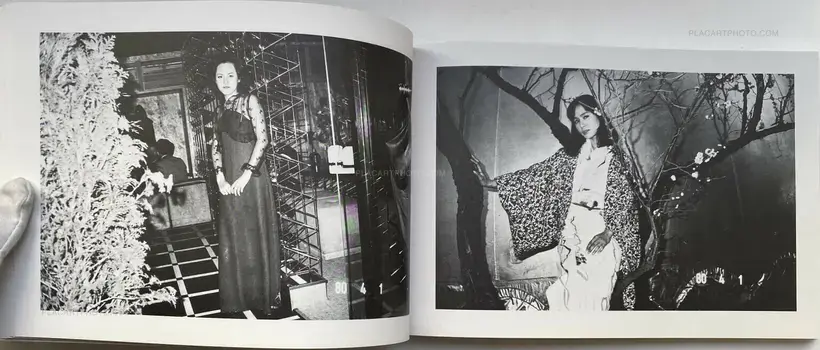 Araki Nobuyoshi no Nise Nikki (Nobuyoshi Araki's Pseudo-Diary) (WITH OBI)