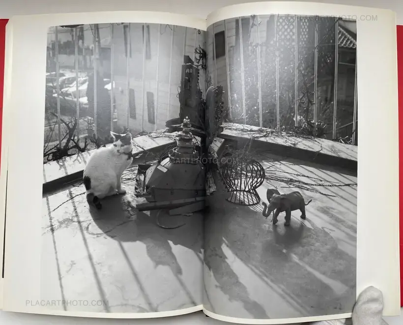 Shashin Shijo Shugi (Personal Sentimentalism in Photography) (WITH OBI)