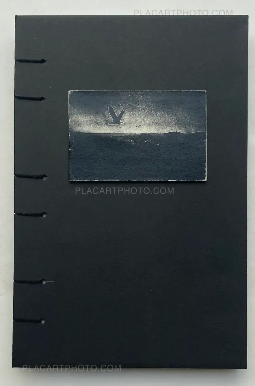 FORECAST (COLLECTORS' EDITION)