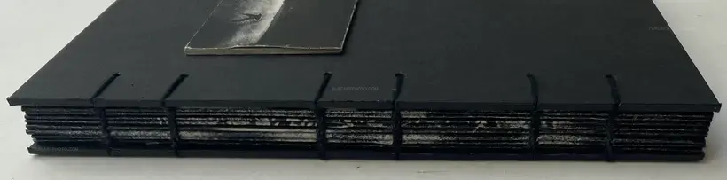 FORECAST (COLLECTORS' EDITION)