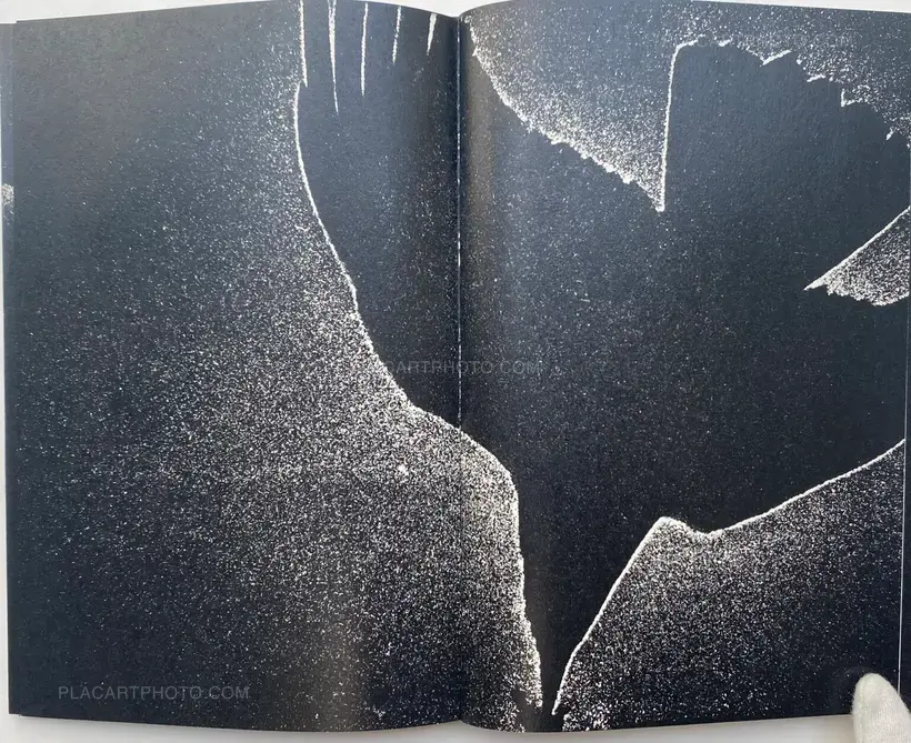 FORECAST (COLLECTORS' EDITION)