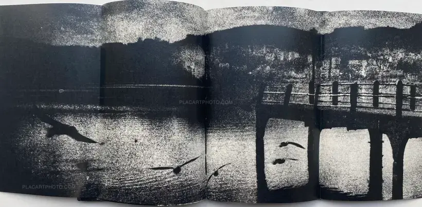 FORECAST (COLLECTORS' EDITION)