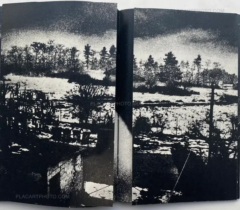 FORECAST (COLLECTORS' EDITION)